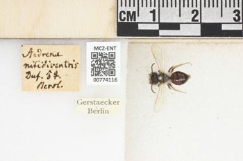 Media type: image;   Entomology 774116 Aspect: Labels